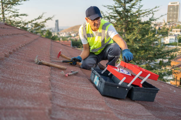 Best Fascia and Soffit Installation  in South Rosemary, NC